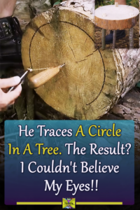 bushcraft, camping hacks, outdoor lifehack, survival skills, DIY camp table,