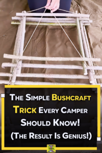 Watch What Happens When You Build This Survival Trap With Just Sticks & String!