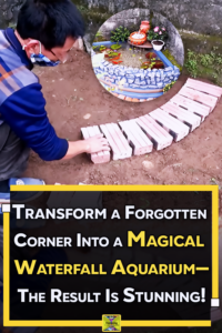waterfall aquarium, DIY garden project, backyard oasis, family garden ideas, how to build aquarium