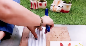 easy decor ideas, balcony garden ideas, small space gardening, upcycled home decor, waste material reuse ideas, plant hanger diy, home garden decor, vertical garden rack, tile cutting trick, hanging planter display