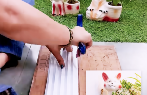 easy decor ideas, balcony garden ideas, small space gardening, upcycled home decor, waste material reuse ideas, plant hanger diy, home garden decor, vertical garden rack, tile cutting trick, hanging planter display