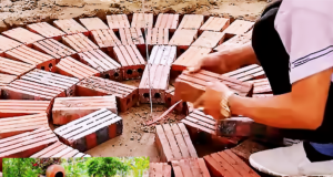 garden transformation, DIY waterfall aquarium, backyard oasis, fish pond ideas, garden makeover