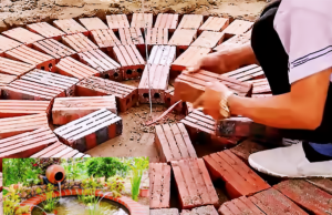 garden transformation, DIY waterfall aquarium, backyard oasis, fish pond ideas, garden makeover