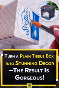 Watch What Happens When a Dollar Tree Tissue Box Gets a DIY Makeover! 😍