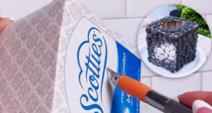 Watch What Happens When a Dollar Tree Tissue Box Gets a DIY Makeover! 😍