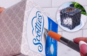 Watch What Happens When a Dollar Tree Tissue Box Gets a DIY Makeover! 😍