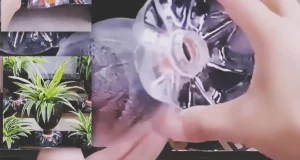 DIY flower pots made from recycled plastic bottles, showing a simple upcycling craft idea for creating small planters for home decor, balcony gardens, or beginner gardening projects.