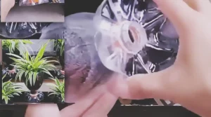 DIY flower pots made from recycled plastic bottles, showing a simple upcycling craft idea for creating small planters for home decor, balcony gardens, or beginner gardening projects.