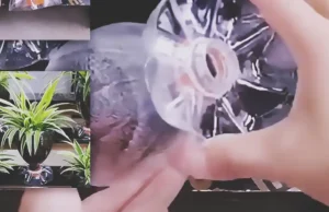 DIY flower pots made from recycled plastic bottles, showing a simple upcycling craft idea for creating small planters for home decor, balcony gardens, or beginner gardening projects.