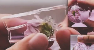 Hands making a clear nano tape flower water ball with a small pink flower sealed inside a transparent squishy bubble filled with pale pink liquid.