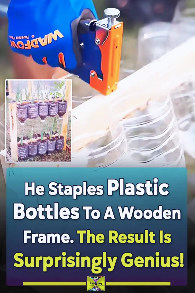 A DIY vertical garden made from recycled plastic bottles attached to a wooden frame, filled with soil and small green plants for a space-saving garden project.