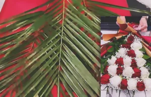 A luxury layered bouquet made with red and white roses, baby’s breath, palm leaves, and green foliage, wrapped in red and gold paper for a romantic flower gift.