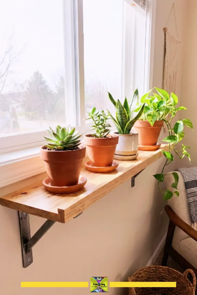 Pallet plant display shelf holding potted plants in a bright window