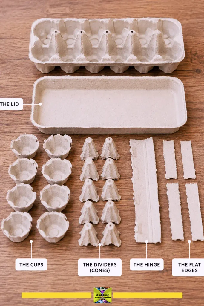 Cardboard egg carton taken apart into cups, lid, and flat sections