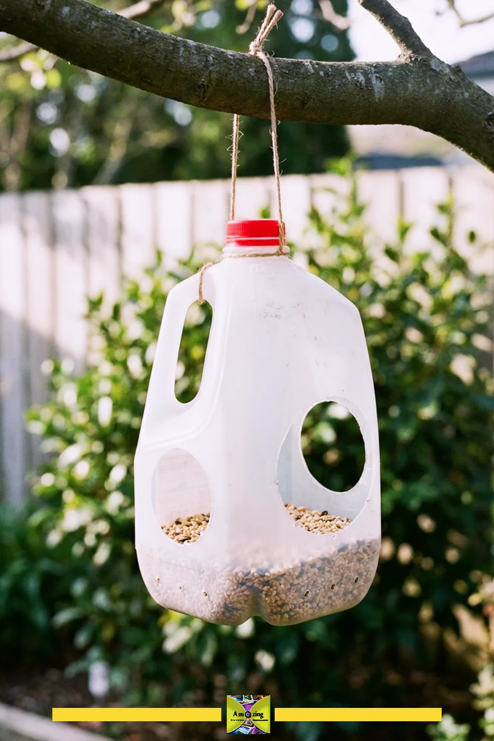 Homemade bird feeder made from a plastic jug hanging from a tree branch with bird seed inside.