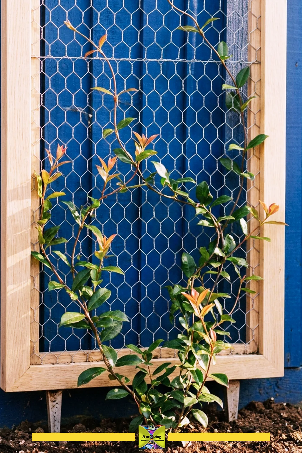 DIY Wooden Garden Trellis with Climbing Plant