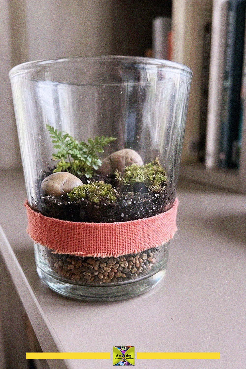Mini moss terrarium in a wide glass cup with pebbles, soil, moss and a small fern, tied with a pink ribbon
